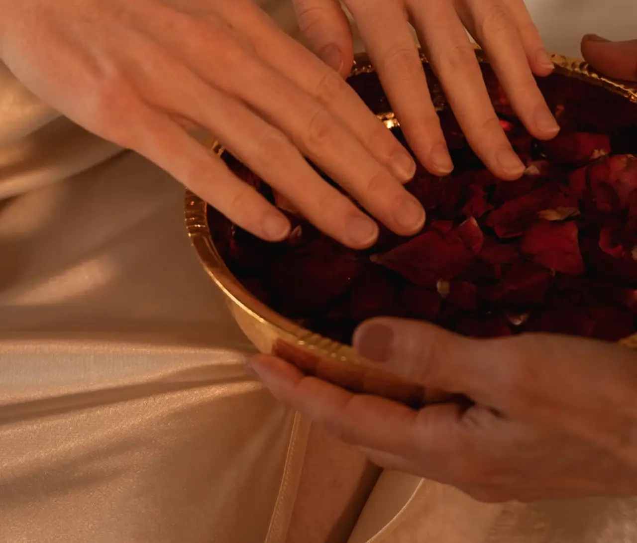 Two hands lowered into a gold bowl of dark red rose petals, cream silk falling beside them